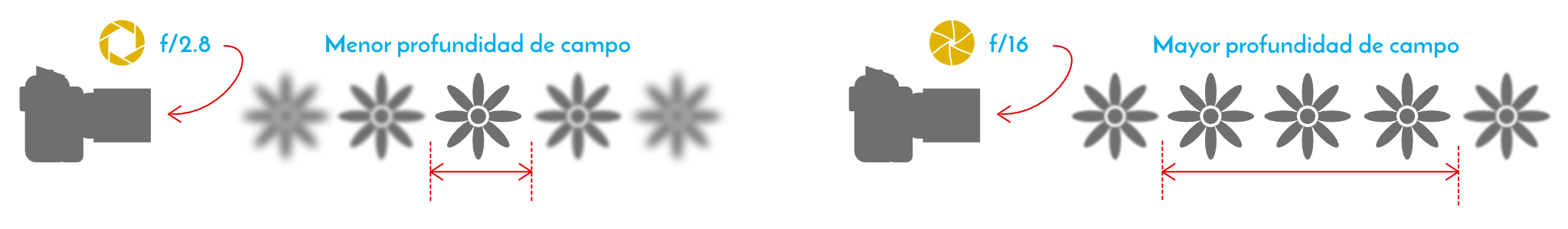  Imagen explicativa de la profundidad de campo, derechos de fotoversia.com 