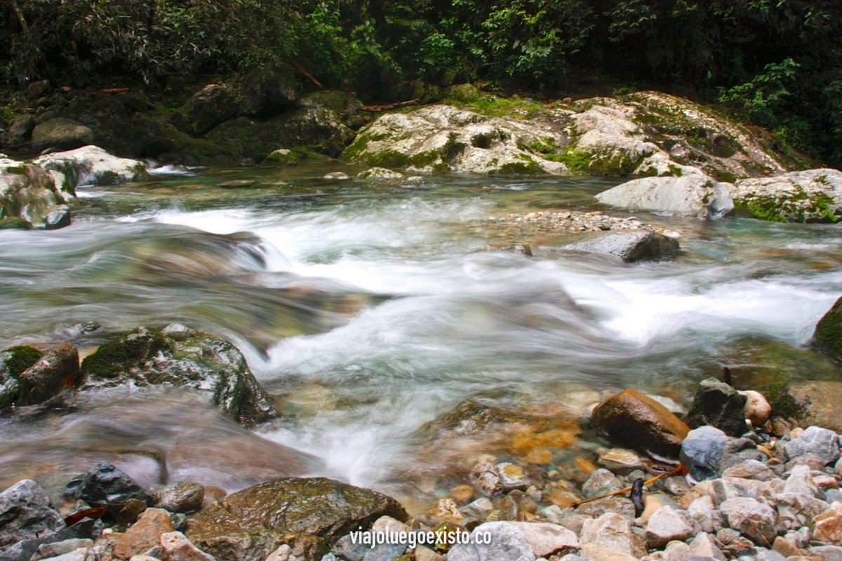 Pico Bonito, un bosque tropical a orillas del mar Caribe