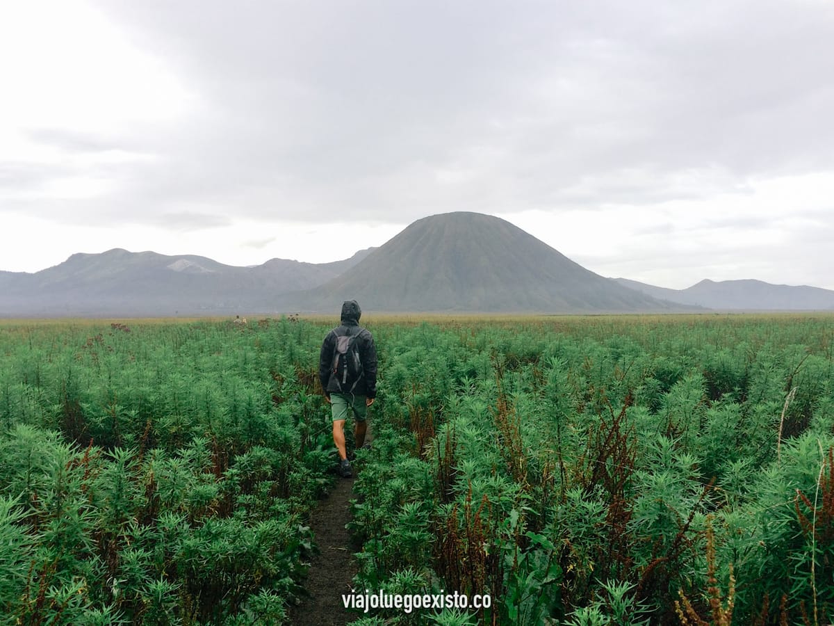 Curiosidades de Indonesia