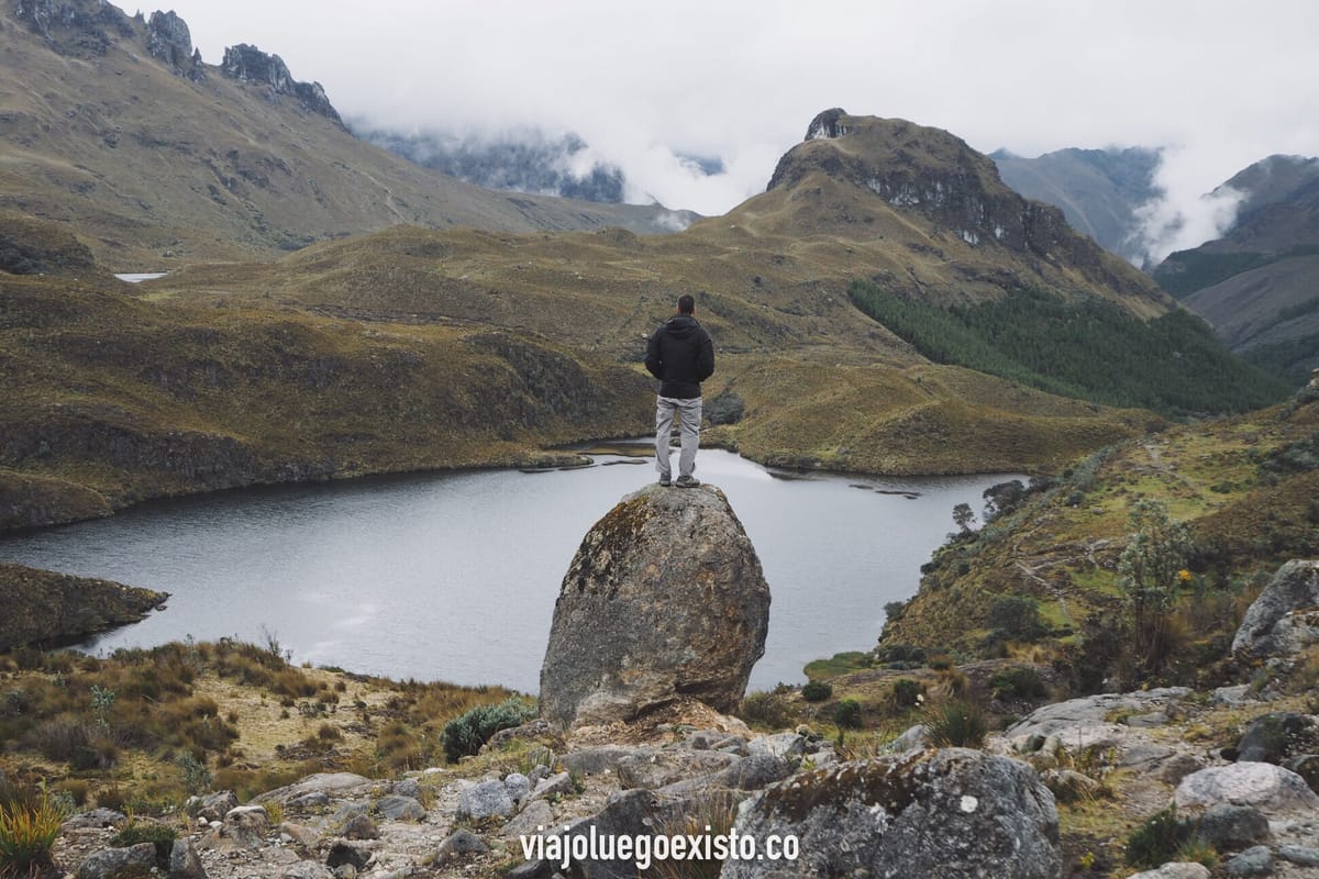 Un año viajando, en números