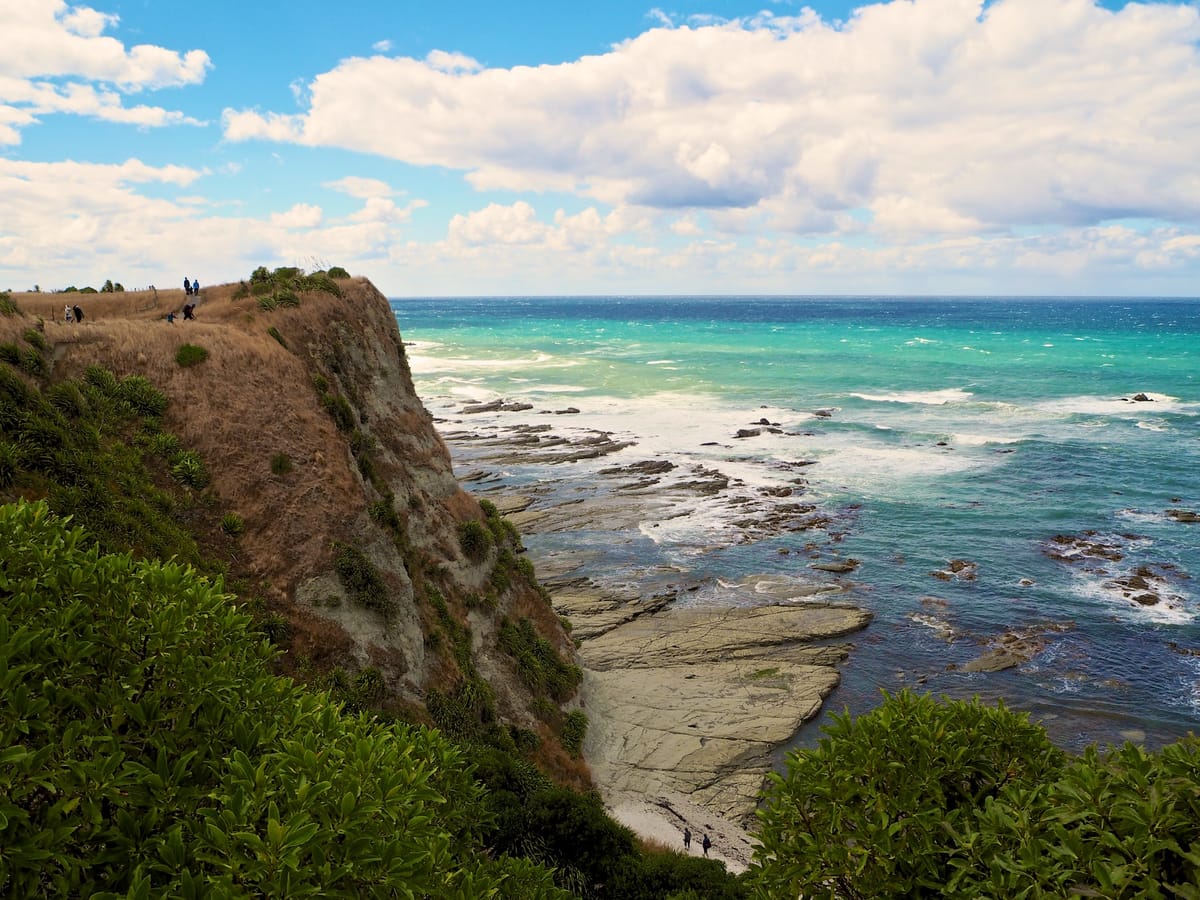 Kaikoura, fauna y paisajes únicos