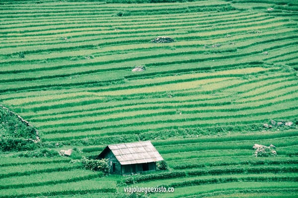 Sapa, trekkings entre arrozales y montañas