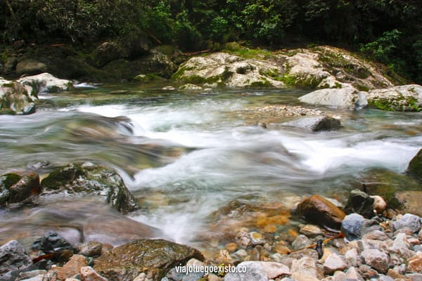 Pico Bonito, un bosque tropical a orillas del mar Caribe