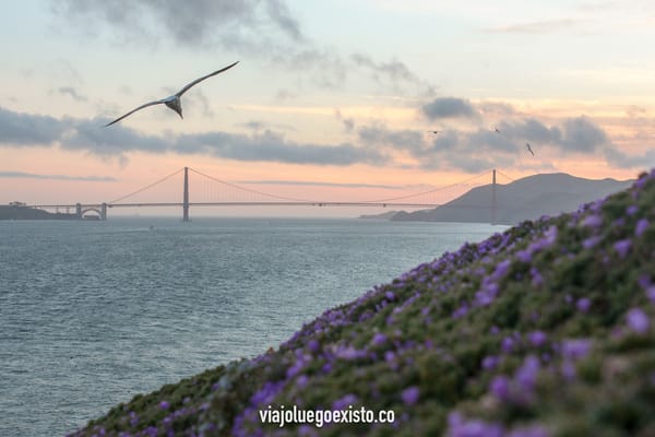 Ruta por la Costa Oeste de EEUU en 2 semanas