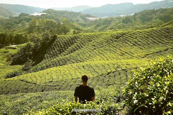 Guía, itinerario e información útil para viajar a Malasia