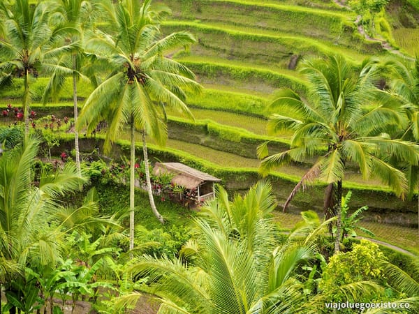 Bali, la isla preferida de Indonesia
